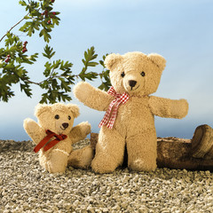 Teddy, Vater und Sohn