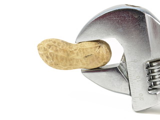 Close-up of peanut crunched by a wrench.