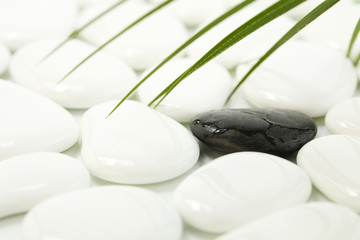 pebbles (SPA concept)