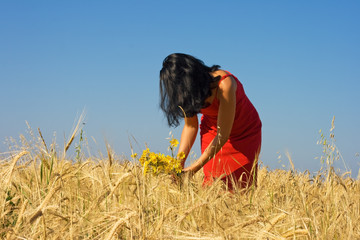 Woman piking yellow flowers