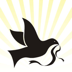 Easter, dove, pigeon - Pomba da Páscoa