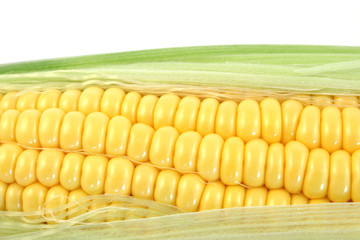 yellow corn close up in studio