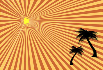 Palm trees at sunset vector