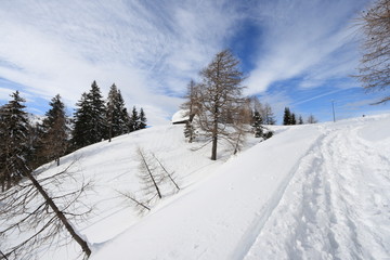 Obraz premium paesaggio innevato