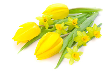 tulips and daffodils