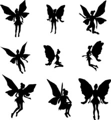 Fairy silhouettes - 12637279