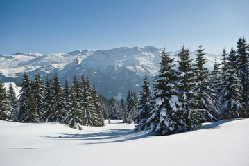 winter in Savoie