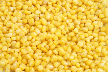 Corn Background