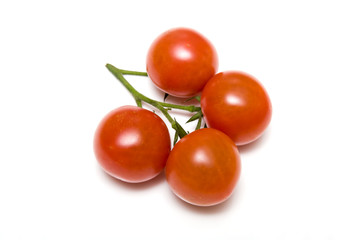 Vine tomatoes isolated on a white studio background.