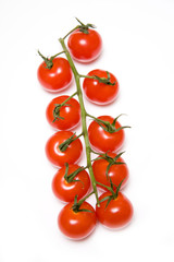 Vine tomatoes isolated on a white studio background.