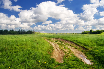 Road in the meadow