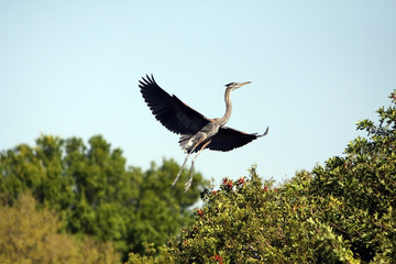 Take Off