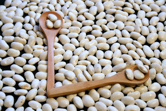 Fasola biała