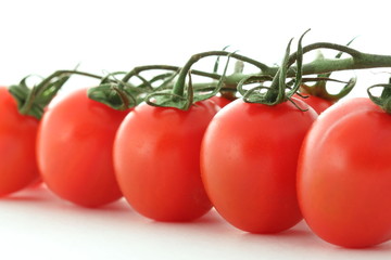 tomatoes on white