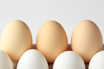 group of eggs on grey