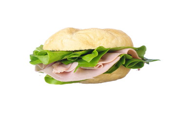 Delicious sandwich isolated on white