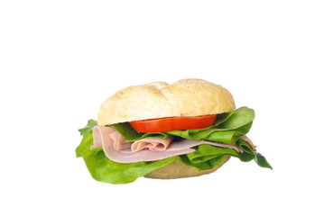 Delicious sandwich isolated on white
