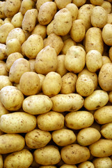 Potatos