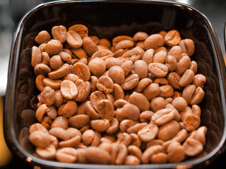fresh unroasted coffee beans