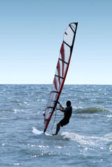 Windsurfer on waves of a sea 2