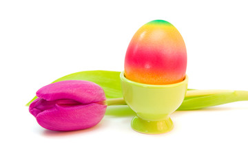 colorful egg with purple tulip isolated on white