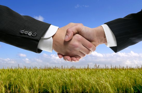 Businessman partners shaking hands in nature