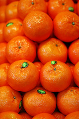 CLEMENTINE - - - Marché