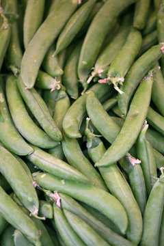 PETITS POIS - - - March&eacute;