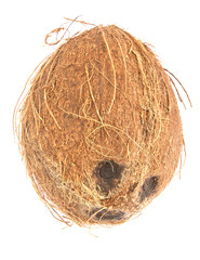 Coconut