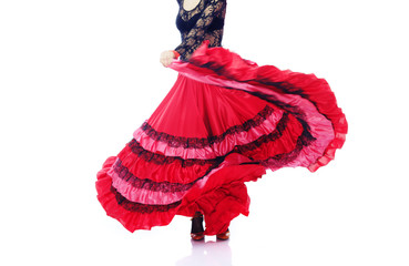 Flamenco - obrazy, fototapety, plakaty