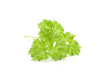 parsley