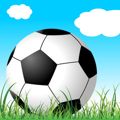 Soccer ball on the grass over cloudy blue sky