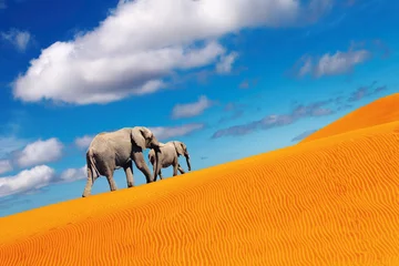 Zelfklevend Fotobehang Woestijnfantasie, wandelende olifanten © Dmitry Pichugin