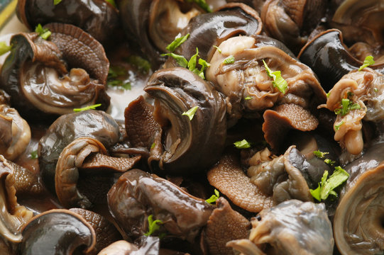 Lumache trifolate - Secondi di carne - Cucina del triveneto