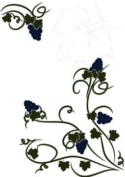 wein floral background illustration