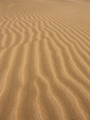 Une étendue de sable modelé par le vent
