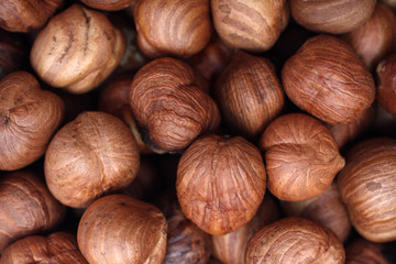 hazelnuts close-up background