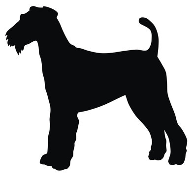 recommend clip art: Airedale terrier