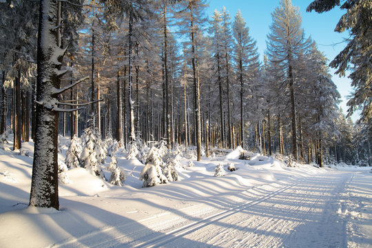 Winterweg2