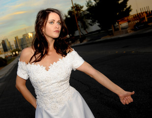 Naklejka premium Bride Hitch Hiking