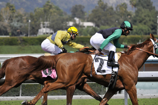 Two Race Horses & Jockeys