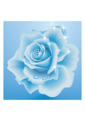 Vector Beautiful Frozen Rose on the Sky Blue Background