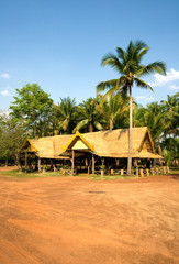 jungle hut