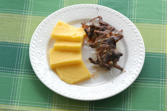 Polenta e os&egrave;i - Secondi di carne della cucina veneta