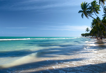 Tropical beach in Brazil