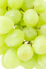 Green grapes background