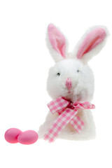 Obraz premium Easter bunny