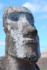 Moai with Lichen Easter Island