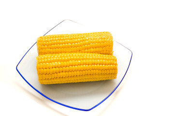 Corn on a plate. The isolated background