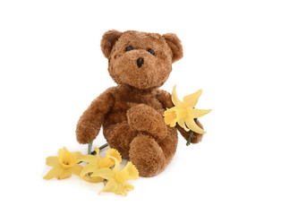 Teddy holding daffodil, intentional drop shadow.